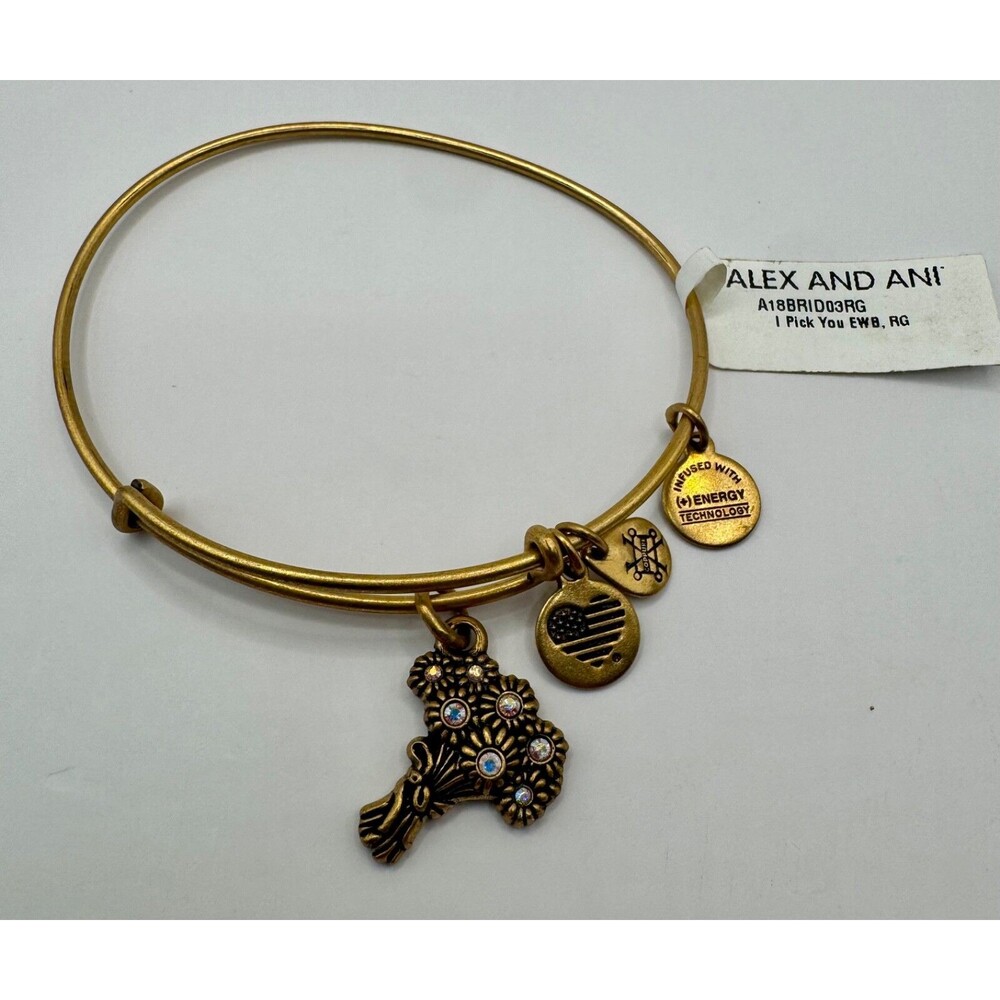 Alex and Ani Gold I Pick You Charm Bracelet NWT